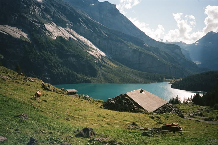 swiss alps